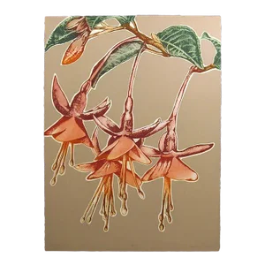 Catherine Ruane O'Connor "Fuchsia II" Signed Numbered Etching with Pink Flowers
