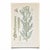 A crisp pair of antique botanical prints with a clean green palette and striking natural history detail. The compositions...