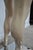 Vintage Female Woman Fiberglass Full Mannequin Dress Form Display on Stand For Sale - Image 11 of 12