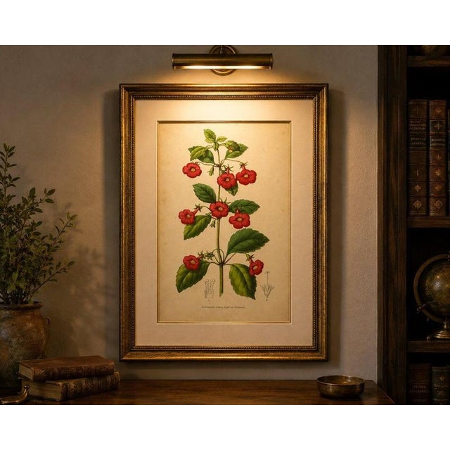 Paper Charles Morren, Red Achimenes Flower Botanical, 1845, Lithograph For Sale - Image 7 of 9