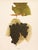 A magnificent original antique photogravure (print) of Eumelan Grapes by Ulysses Prentiss Hedrick (1870-1951). Superb...