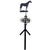 Early 20th Century Antique American Iron Horse Weathervane, Nashville Tn For Sale - Image 13 of 13