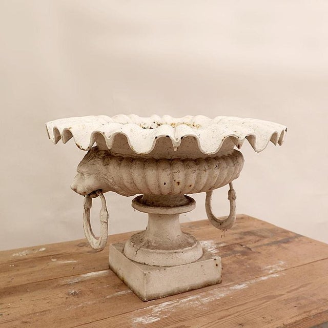 19th Century Cast Iron Basin with Lion Head Handles For Sale - Image 5 of 16