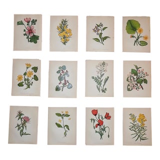 Antique 19th Century Anne Pratt Botanical Chromolithographs - Set of 12 For Sale