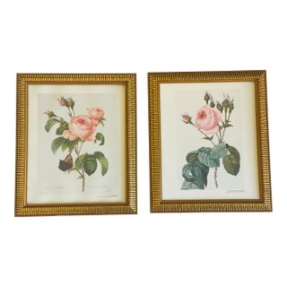 1960s Great Pair of P.J.Redoute Chromolithographs of Roses in Gold Frames Reproduction For Sale