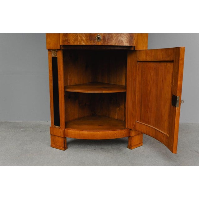 19th Century Biedermeier Corner Display Cabinet For Sale - Image 15 of 18