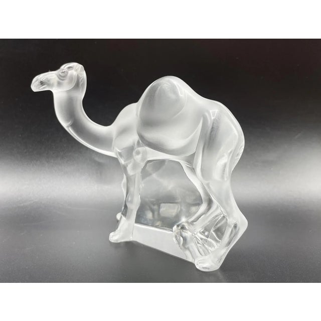 Tanger Chameau Sculpture from Lalique, 1970s For Sale - Image 4 of 10