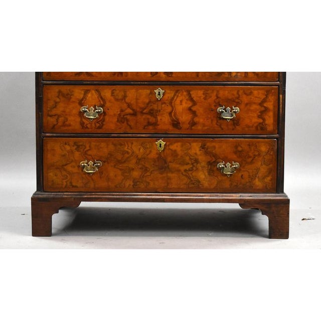 Wood George Iii Burr Walnut Chest of Drawers, 1800 For Sale - Image 7 of 10