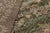 Textile Vintage Zeki Muren Rug in Green and Brown For Sale - Image 7 of 7