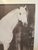 Joe Andoe, Horse I, 1994. Stone lithograph, signed and numbered "Joe Andoe 17/50" in the plate, lower right. Housed in a...