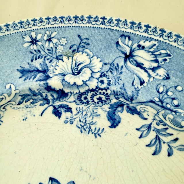 Elkin & Newbon English Botanical Beauties Dinner Plates, Set of Eight For Sale - Image 10 of 15