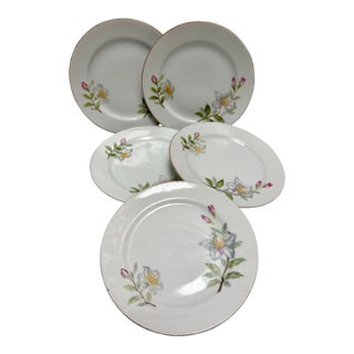 Vintage Floral Porcelain China Side Plates, Set of Five For Sale