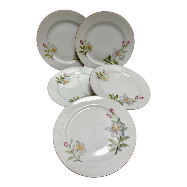 Vintage Floral Porcelain China Side Plates, Set of Five For Sale