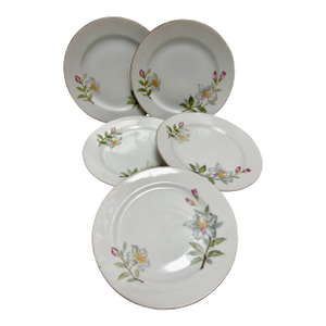 Vintage Floral Porcelain China Side Plates, Set of Five