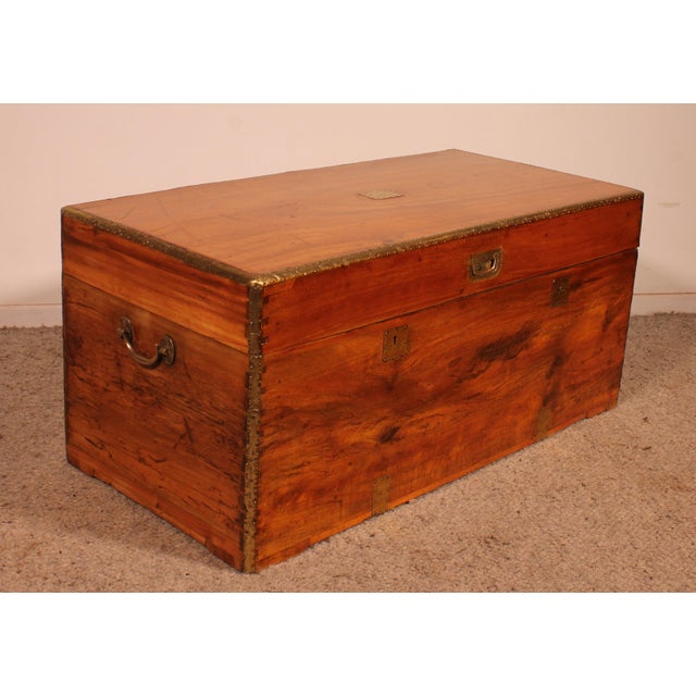 19th Century Marine Chest in Camphor Wood For Sale - Image 4 of 13