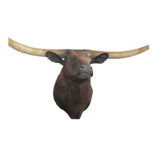 Mid 20th Century Texas Longhorn Mounted Bull For Sale