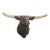 Mid 20th Century Texas Longhorn Mounted Bull For Sale