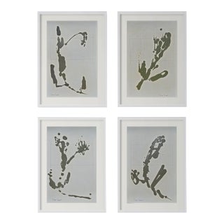 Contemporary Dark Green Organic Modern Botanical Studies | Unframed For Sale