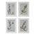Contemporary Dark Green Organic Modern Botanical Studies | Unframed For Sale