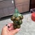 Barovier & Toso Italian Murano Art Glass Grape Cluster Sculpture For Sale - Image 4 of 8
