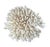 A rare natural white sea coral specimen. The vintage coral is prized for intricate organic form and sculptural presence....