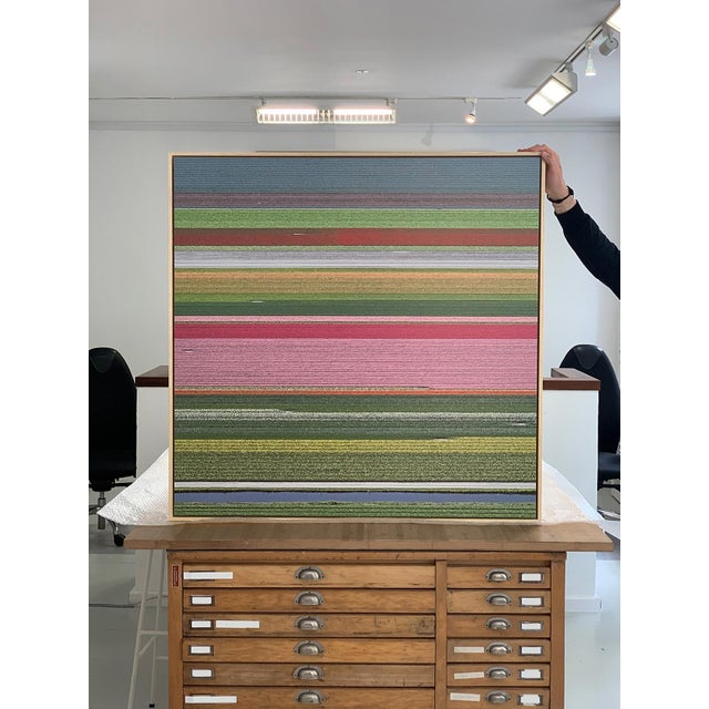 "AV_Tulip_Fileds_014", Size A, Limited Edition Fine Art Photograph Print by Bernhard Lang For Sale - Image 4 of 10