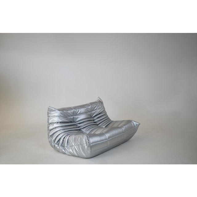 Textile Togo Two-Seat in Silver Skai by Michel Ducaroy for Ligne Roset For Sale - Image 7 of 7