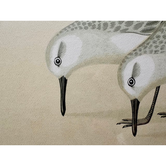 1970s 1970s Print - Sandpipers by David Grose For Sale - Image 5 of 11
