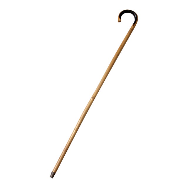 Antique Bamboo Cane For Sale