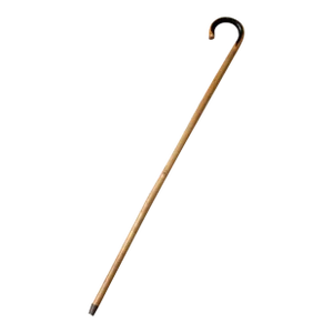 Antique Bamboo Cane