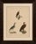 Ivory Karl Joseph Brodtmann, Birds of Prey, 1816, Lithograph For Sale - Image 8 of 9