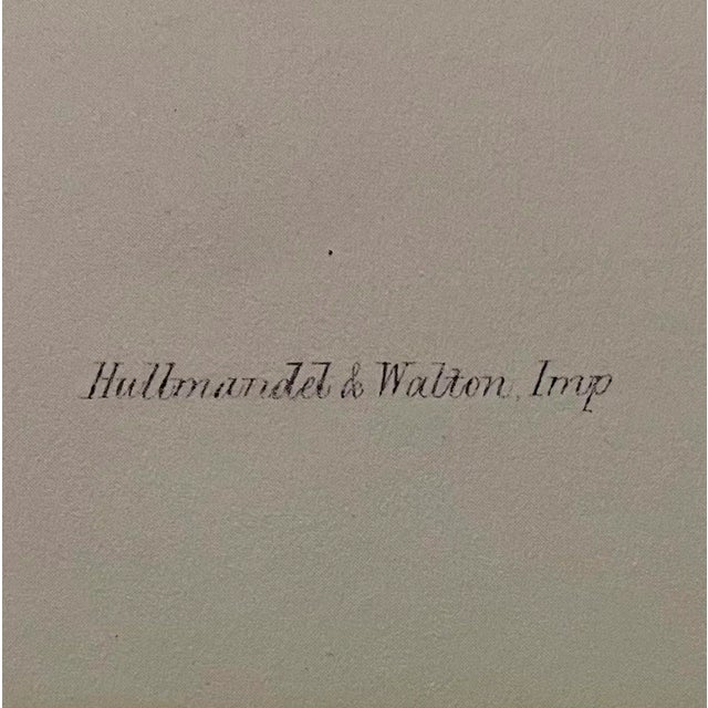 Hummingbird Lithograph After John Gould For Sale - Image 4 of 4