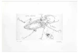 Sergio Barletta, Insects, Etching, 1974