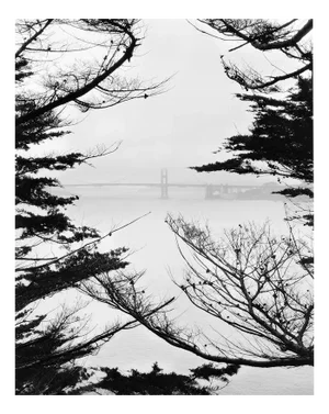 Golden Gate Bridge Lands End - Black and White Landscape Art Photography 2023