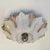 Flower Shell White Sand Ceramic Wall Light from Hustadt Keramik, Germany, 1970s For Sale - Image 6 of 13