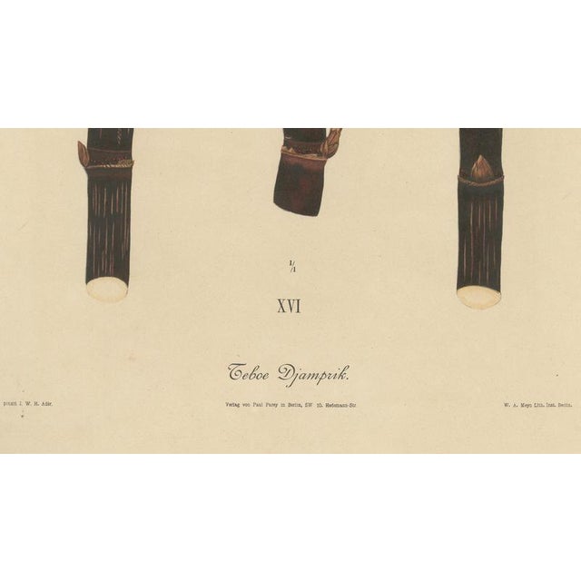 Late 19th Century Sugarcane, 1892, Paper For Sale - Image 5 of 10