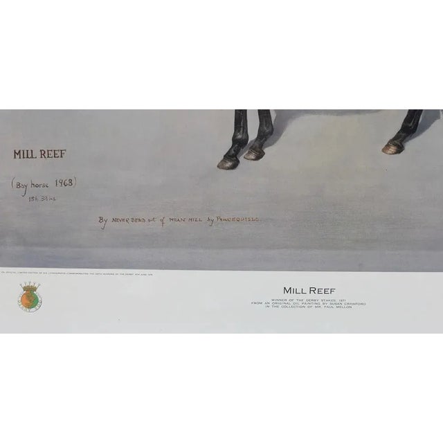 Traditional Mill Reef Winner of the Derby Stakes 1971 by Susan Crawford Provenance: The Susie Hilfiger Collection For Sale - Image 3 of 8