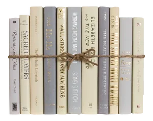 Decorative Books - Light Mist Book Bundle - 1 Foot of Grey Books