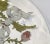 Vintage Dorothy C. Thorpe Wildflowers & Ribbon Oval Glass Large Serving Platter For Sale - Image 10 of 13