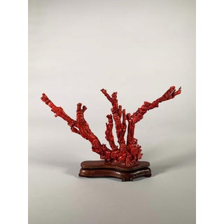 Large Coral Sculpture, China, Early 20th Century For Sale