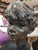 Vintage Bronze Bust of a Boy Signed For Sale In Philadelphia - Image 6 of 9
