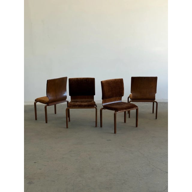 W24 D20 H34 SW20 SD18 SH17.5 Set of four restored bentwood dining chairs with softly curved backs. Upholstered in a plush,...
