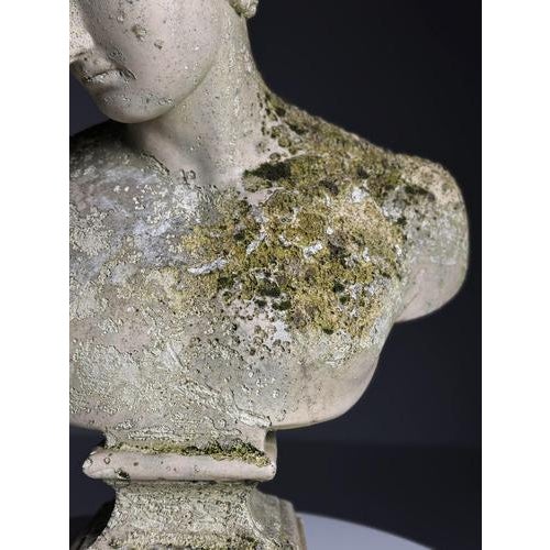 Bust of Hermes in Plaster For Sale - Image 16 of 18