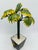 1970s Vintage Tole Palm Tree For Sale - Image 5 of 6