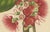Hoola van Nooten, Wax Apple Blossom Botanical, 1880, Chromolithograph For Sale - Image 5 of 9
