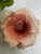 Capodimonte Blooming Flower Candle Holders, Set of Three For Sale - Image 10 of 12