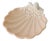 Vintage Fitz & Floyd Ceramic Sea Shell Corals Trinket Dish Bowl For Sale