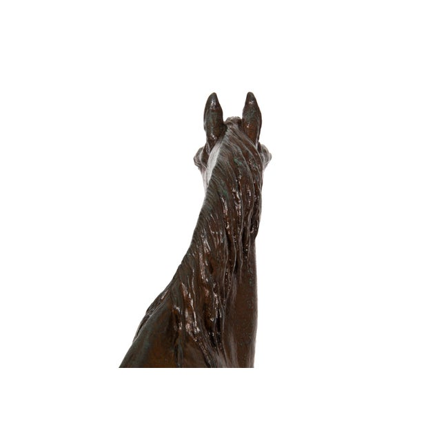 French Bronze Sculpture of Arabian Stallion “Rainbow” by Christophe Fratin For Sale - Image 11 of 17