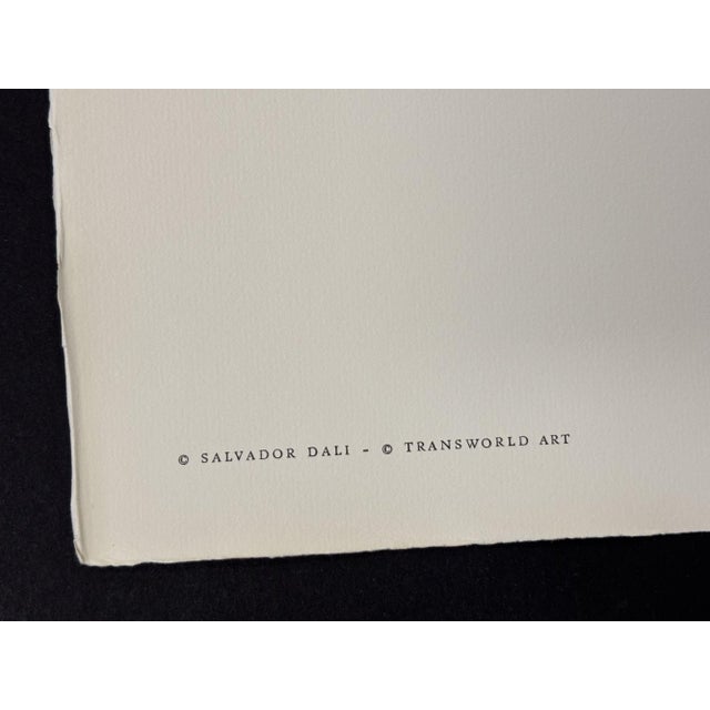 Salvador Dali "Les Lauriers De Bonheur" Etching For Sale - Image 11 of 12