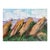 Mountain Scene Boulder Flatirons Original Painting by L. Romo, 2026 For Sale